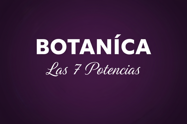 I need BOTANICA to be all capital bold letters and Las 7 Potencias under the word BOTANICA in cursive or elegant 